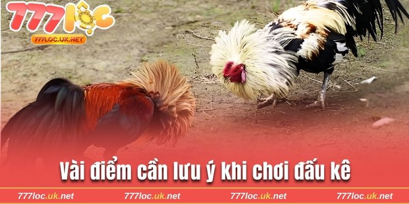 3 điểm cần lưu ý khi chơi giúp hạn chế rủi ro 
