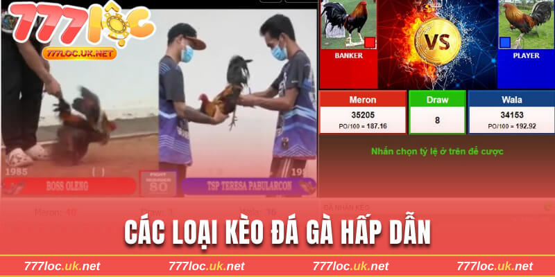 Các loại kèo hấp dẫn với tỷ lệ ăn tốt nhất cho bạn