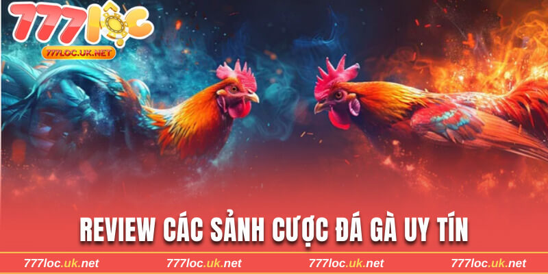 các sảnh cược đá gà uy tín