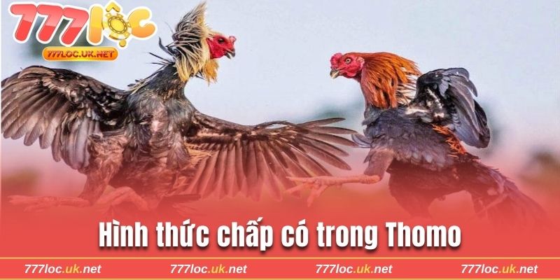 Hình thức chấp có trong Thomo