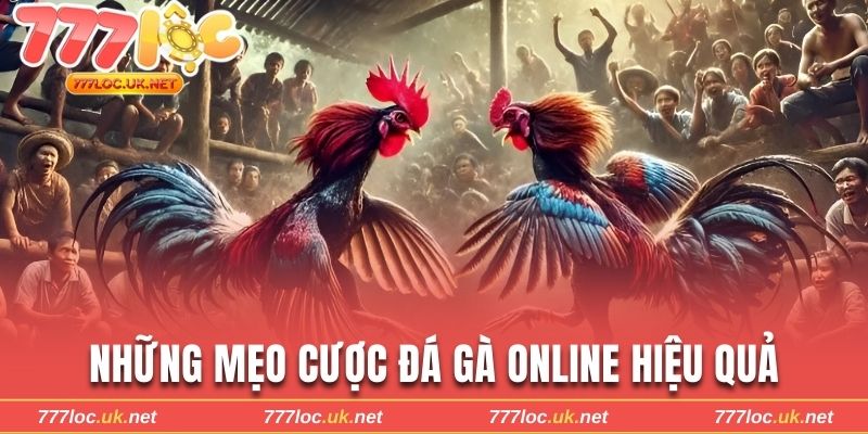 Mẹo cược đá gà online