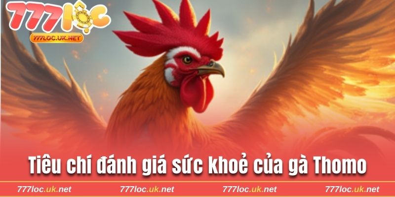 Tiêu chí đánh giá sức khoẻ của gà Thomo