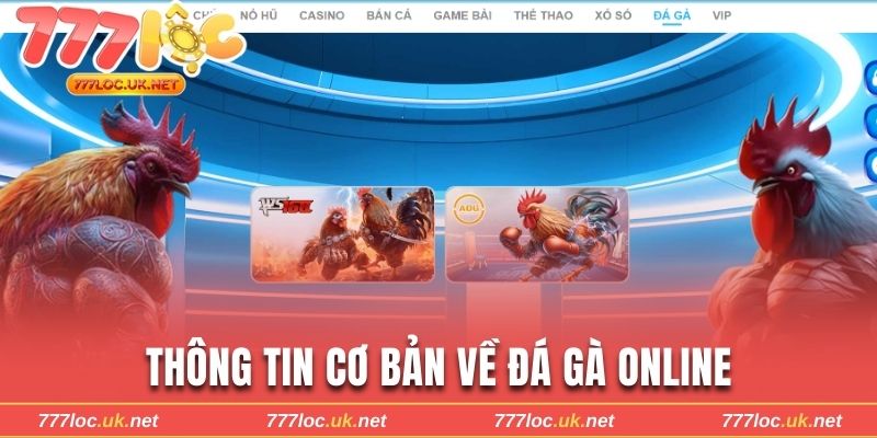 Vài nét thông tin cơ bản về đấu kê online 777loc